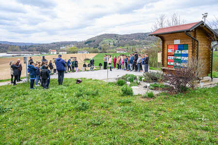 Sajenje medovitih rastlin pri učnem čebelnjaku 