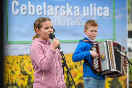 Čebelarska ulica v Ivančni Gorici