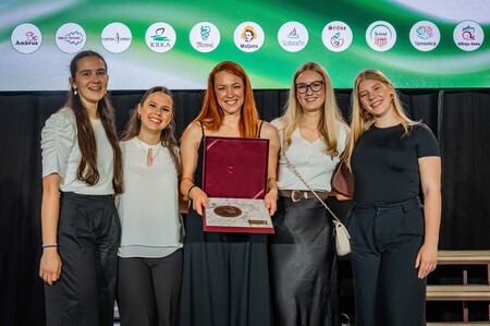 Športno-kulturno društvo Vision Dance Team