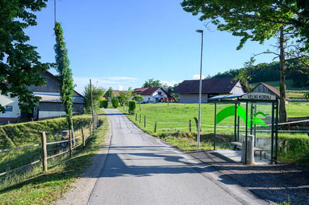 DSC_1358