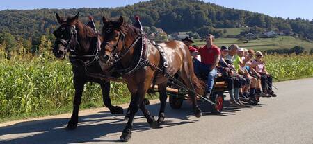 IMG-1f735b1121e33fde9ff17d01b9ebe4f9-V